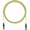 SM 12FB PL PMPO FEMALE