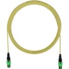 SM 12FB PL PMPO FEMALE