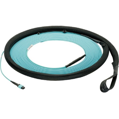 OM4 12FB ISDT PL MPOF1M BO61