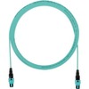 50FT OM4 12FB PL PANMPO FM