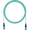 50FT OM4 24FB PLENUM MPO24 FM