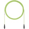 50FT OM5 12FB PL PANMPO FM