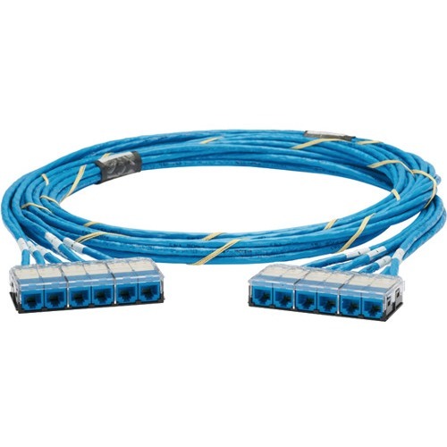 30FT CP UTP BU WL J