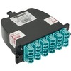 12FBR OM4STANDARD LOSSLC DUPLEX