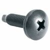 100PC 10-32 RACK SCREWS W