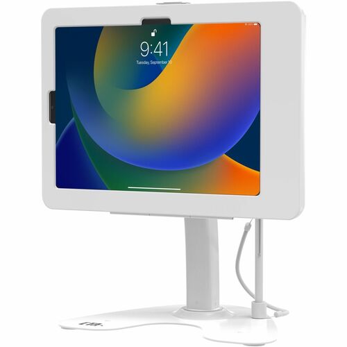 DUAL SECURE STAND IPAD 10 &MORE