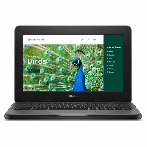 Dell Chromebook 3000 3120 11.6&quot; Clamshell Chromebook - HD - Intel N100 - 4 GB - 64 GB Flash Memory - English (US) Keyboard - Gray - Intel Chip - 1366 x 768 - ChromeOS - Intel UHD Graphics - Twisted nematic (TN) - Front Camera/Webcam - IEEE 802.11ax Wireless LAN Standard