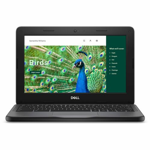 Dell Chromebook 3000 3120 11.6&quot; Touchscreen Convertible 2 in 1 Chromebook - HD - Intel N-Series N100 - 4 GB - 64 GB Flash Memory - English (US) Keyboard - Gray - Intel Chip - 1366 x 768 - ChromeOS - Intel UHD Graphics - In-plane Switching (IPS) Technology - Front Camera/Webcam - IEEE 802.11be Wireless LAN Standard