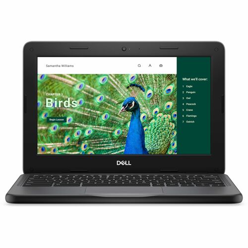Dell Chromebook 3000 3120 11.6&quot; Touchscreen Convertible 2 in 1 Chromebook - HD - Intel N100 - 8 GB - 64 GB Flash Memory - English (US) Keyboard - Gray - Intel Chip - 1366 x 768 - ChromeOS - Intel UHD Graphics - In-plane Switching (IPS) Technology - Front Camera/Webcam - IEEE 802.11ax Wireless LAN Standard